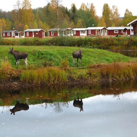 Klaraelvens Camping Stöllet Quarto foto